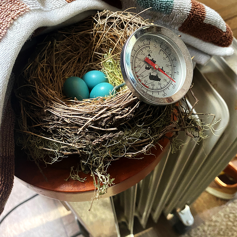 Eggs on a Heater