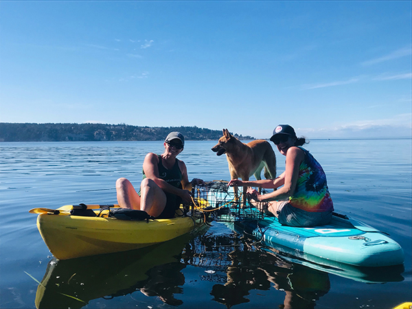 Pulling crab pots