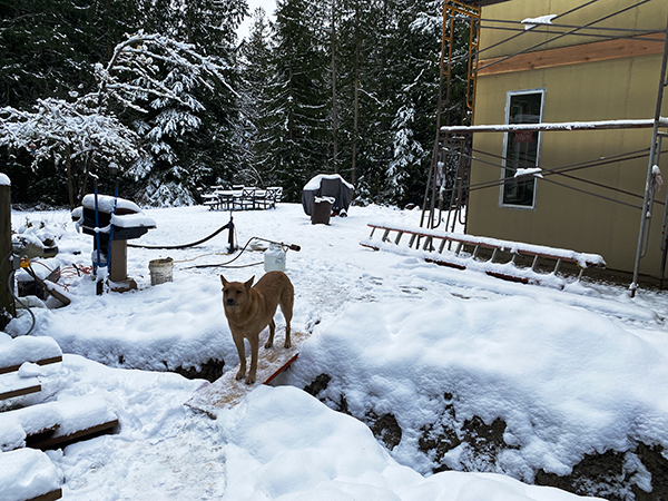 Snow on the Trench