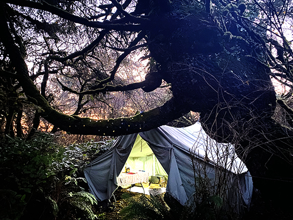 Our Cozy Wall Tent