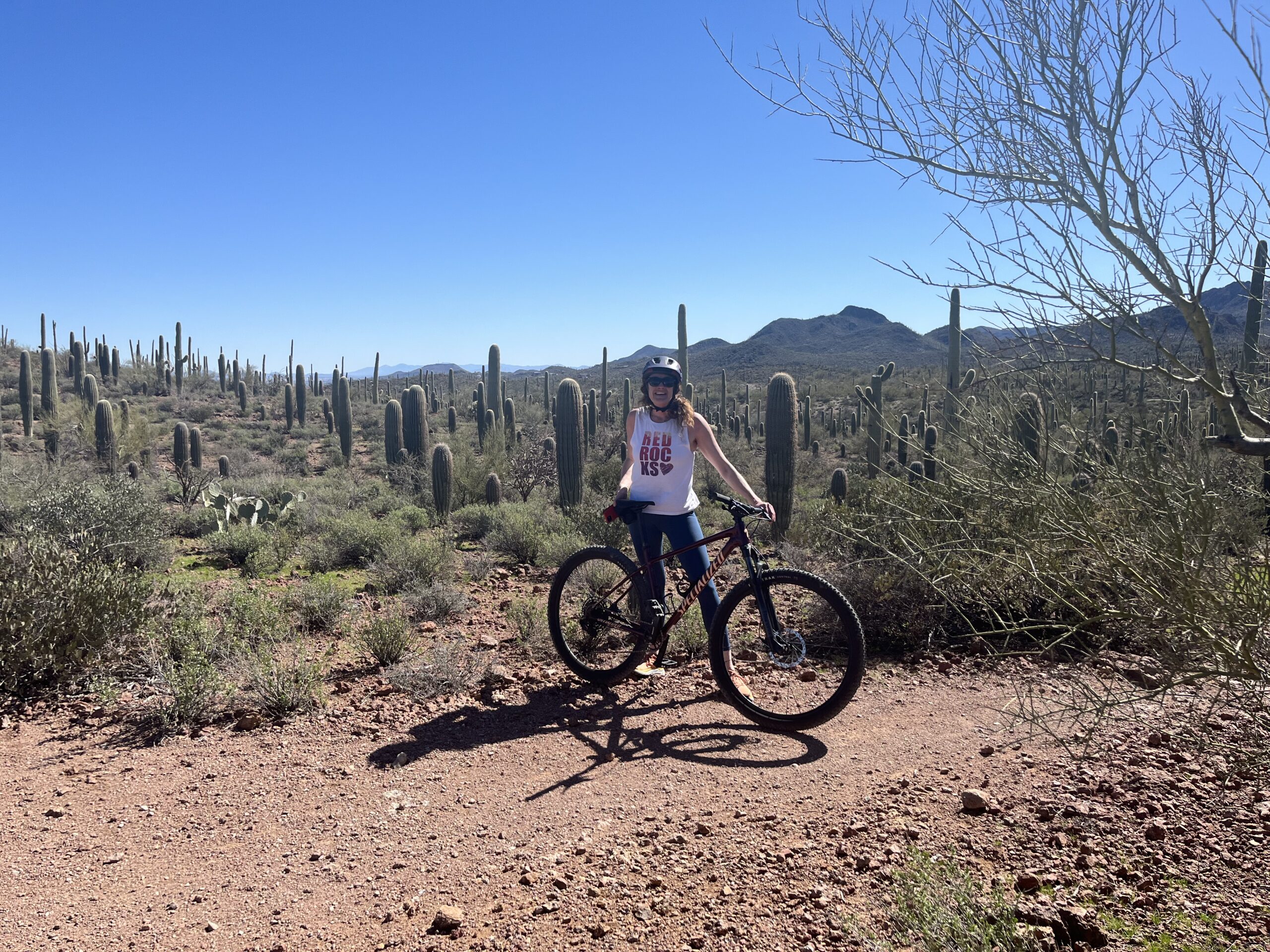 Biking in AZ desert