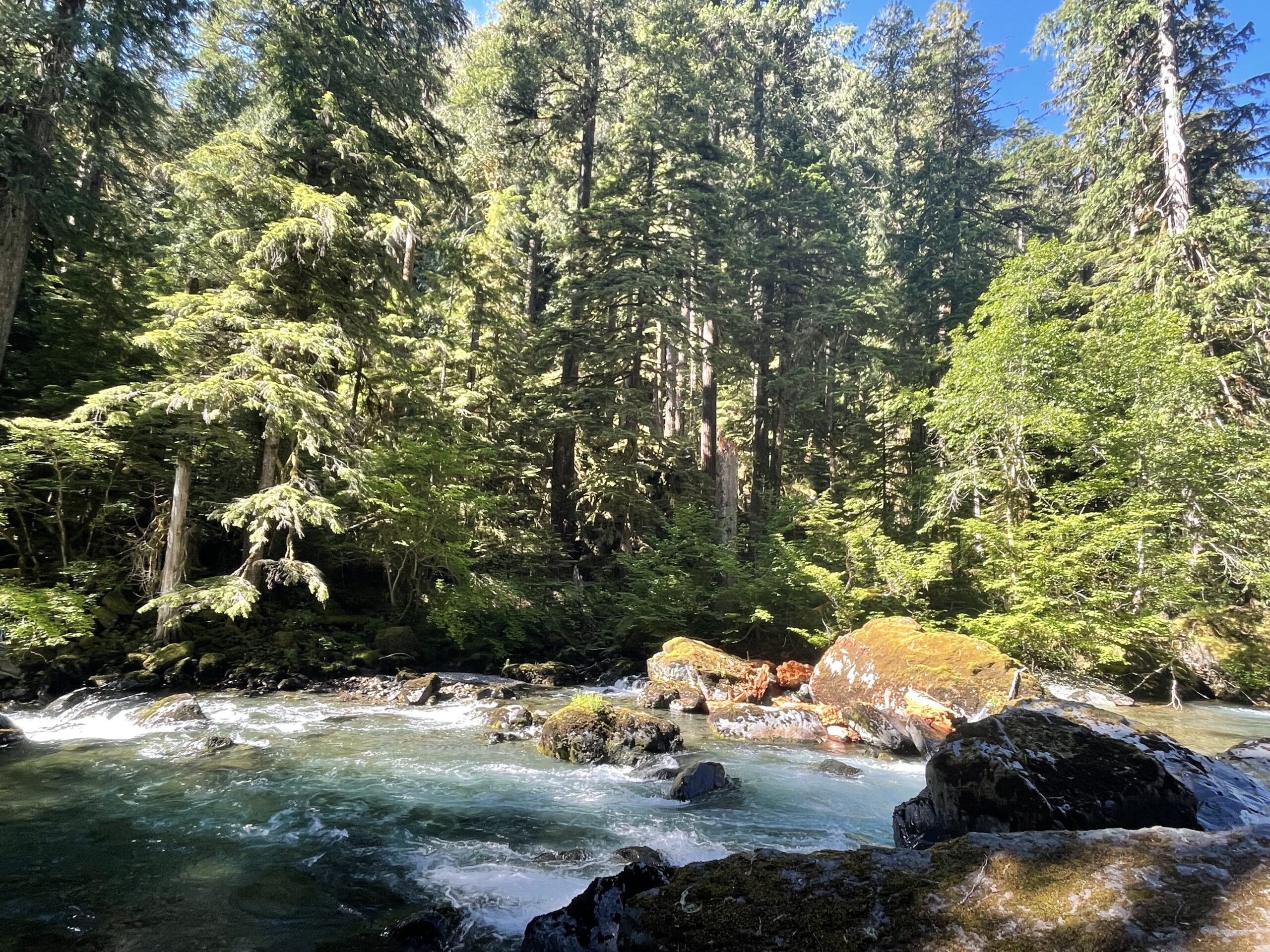 Duckabush 5 Mile Campground