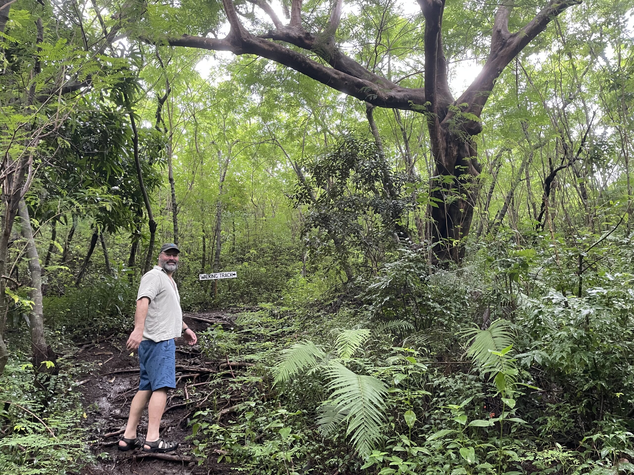 Island jungle hike